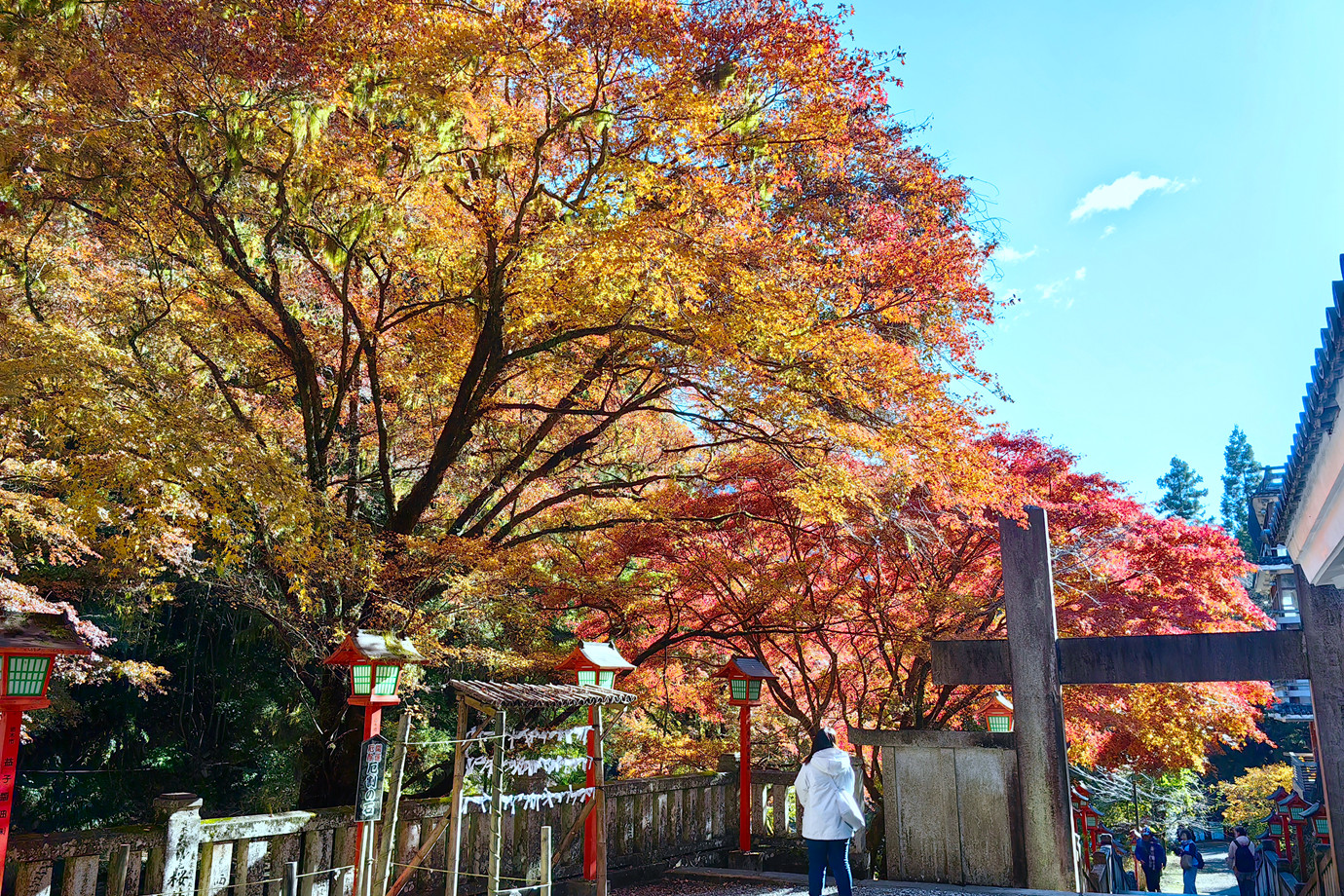 坂東三十三所-出流山満願寺